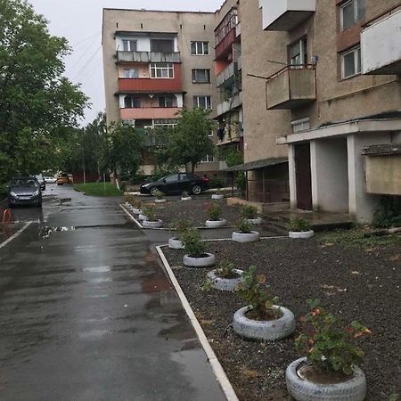 Однокімнатна Дизайнерська Квартира Поруч З Термальними Водами Берегове Екстер'єр фото